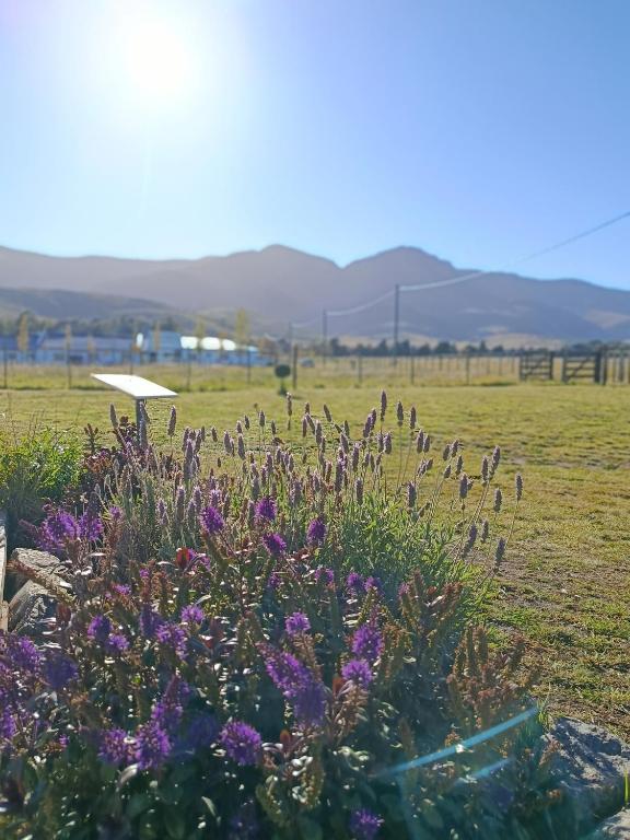 Refugio del Viento - 3