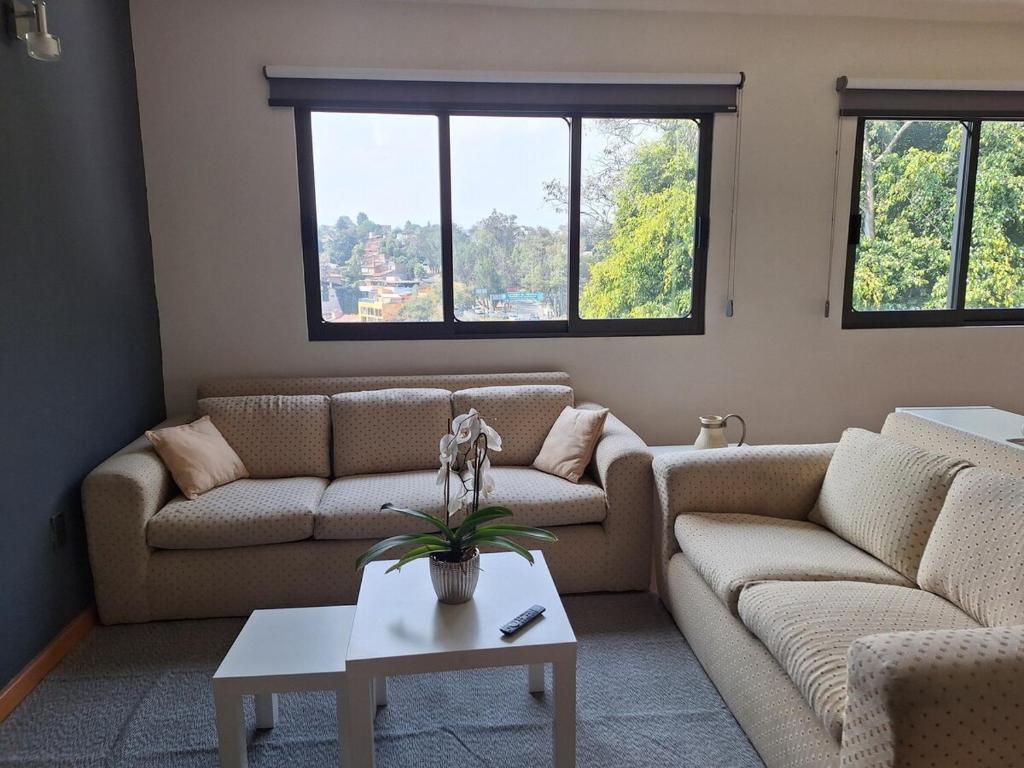 Bright & Peaceful Apt w Tree View, Lomas - 1