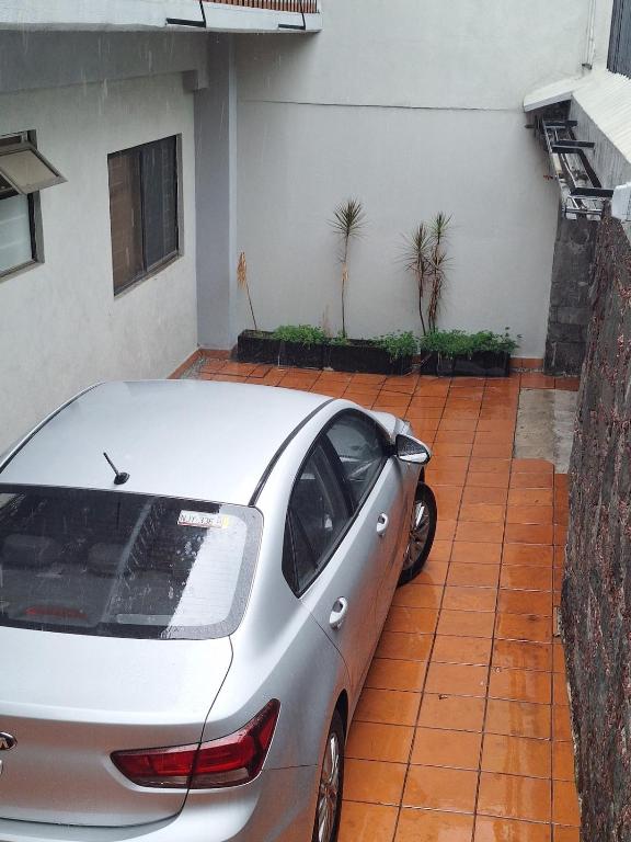 Bright & Peaceful Apt w Tree View, Lomas - 3