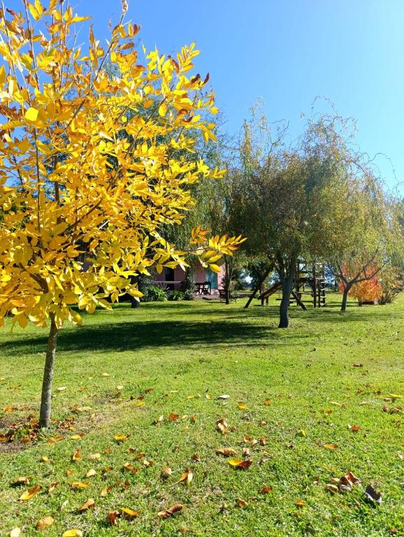 Quinta La Angelica - 4