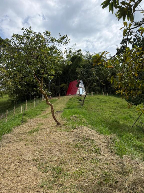 Cabaña glamping entre nubes buga - 2