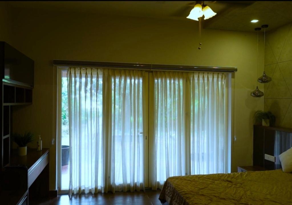 Ảnh 2
