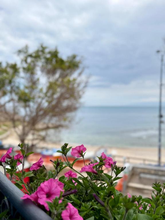 Casa Mariuccia Beachfront - 2