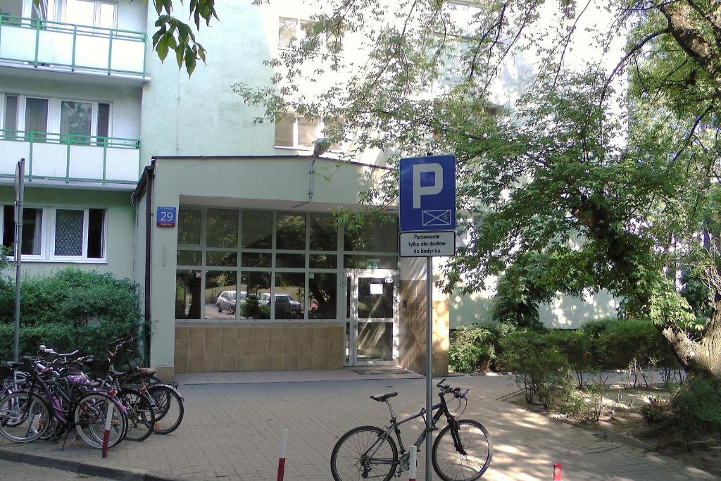 Ảnh 5