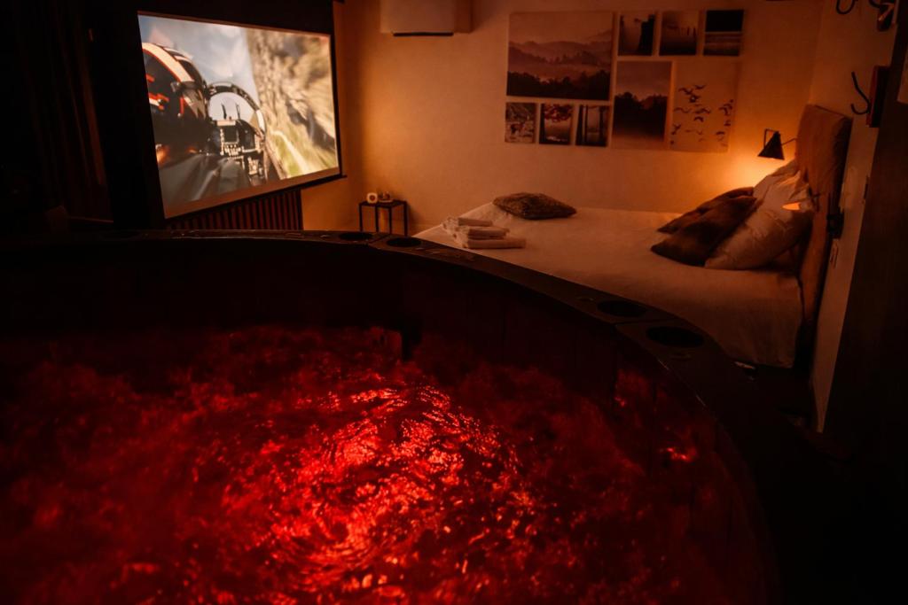 Suite premium Polaire, Jacuzzi & Cinéma - 4