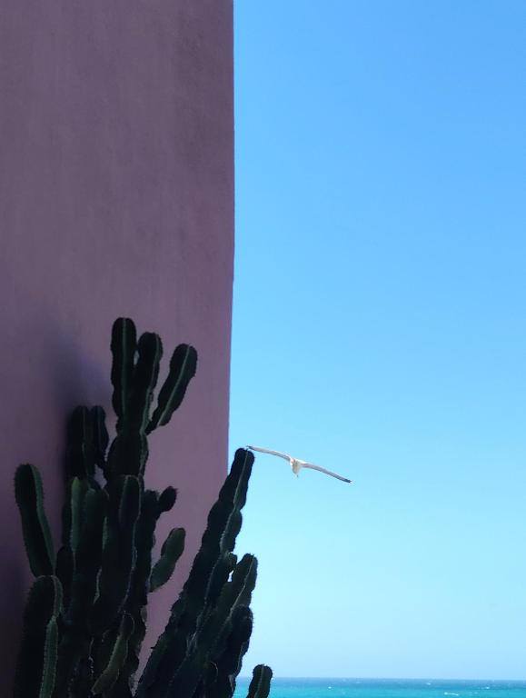 L'Incanto Divino Di fronte solo l'orizzonte! - 2