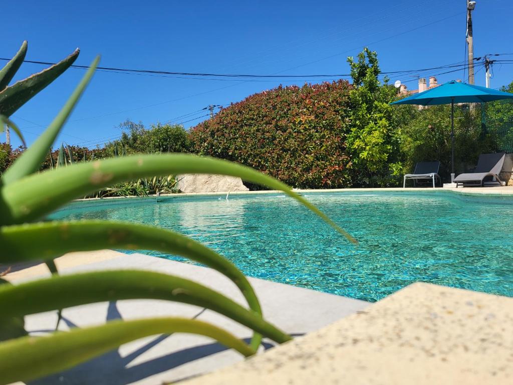 Bas de villa Lola avec piscine - 2