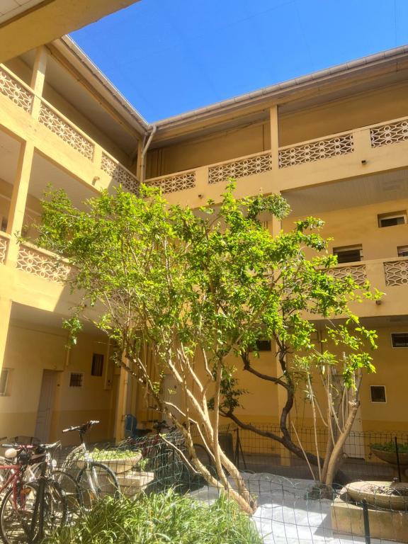 Studio front de mer Valras-Plage 2-4 personnes - 3