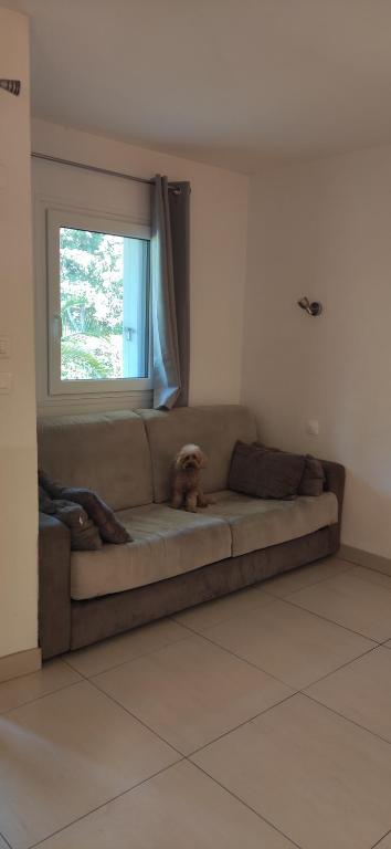 Residence Les Palmiers - 5