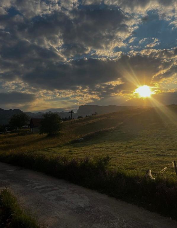 Brvnare tri srca Zabljak, Pitomine - 4