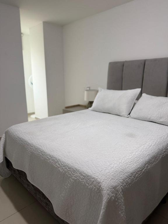 apartamento amoblado sotomayor - 3