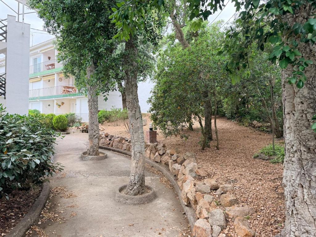 A comfortable apartment 5 minutes from Golfet Beach - 4