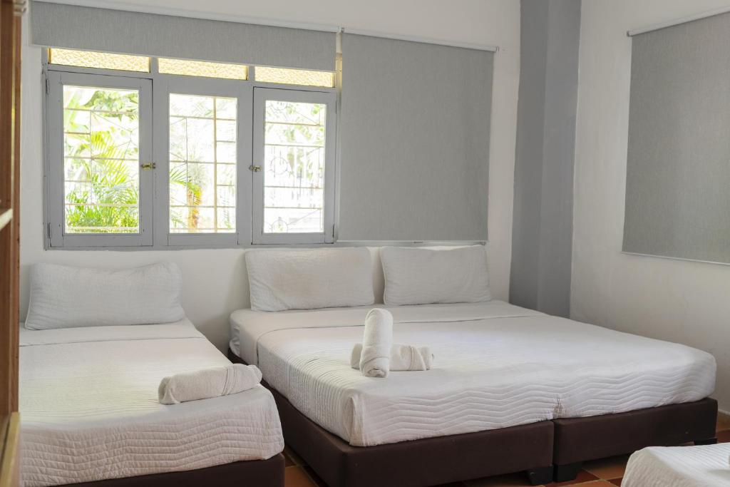 Casa Crespo - 2