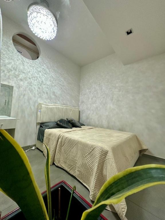 2 Bedrooms San Pedro - 5