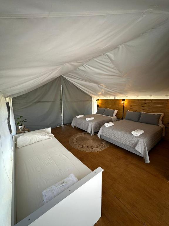 moraycamp - 5