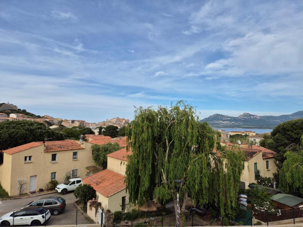 Superbe T2 climatisé avec terrasse vue mer & citadelle - 3