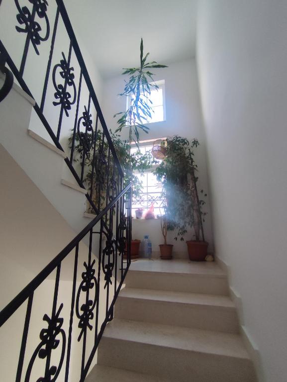 Apartman Rai - 5