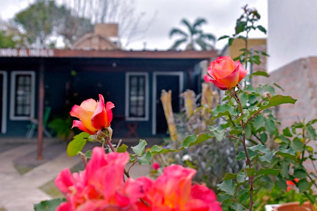 Las Magnolias - 1