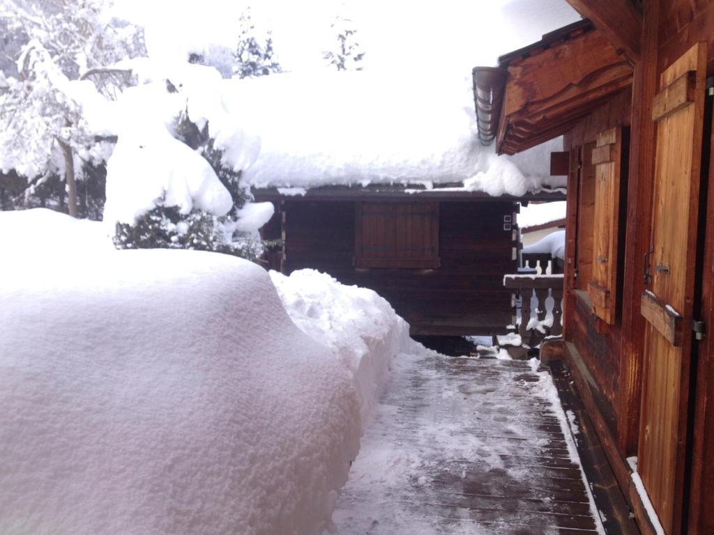 Chalet LA MARMOTTE Au pieds des Pistes - 3