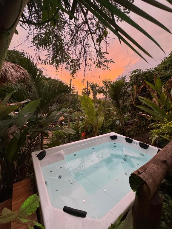 The Valley Tayrona hostel- A social jungle hostel - 3
