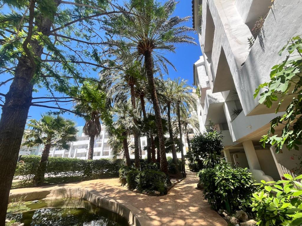 Maena Oasis - 5
