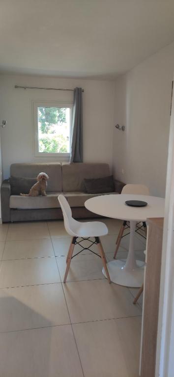 Residence Les Palmiers - 3