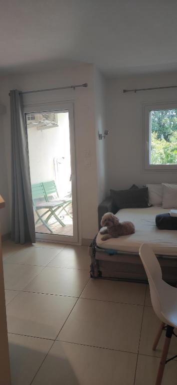 Residence Les Palmiers - 2