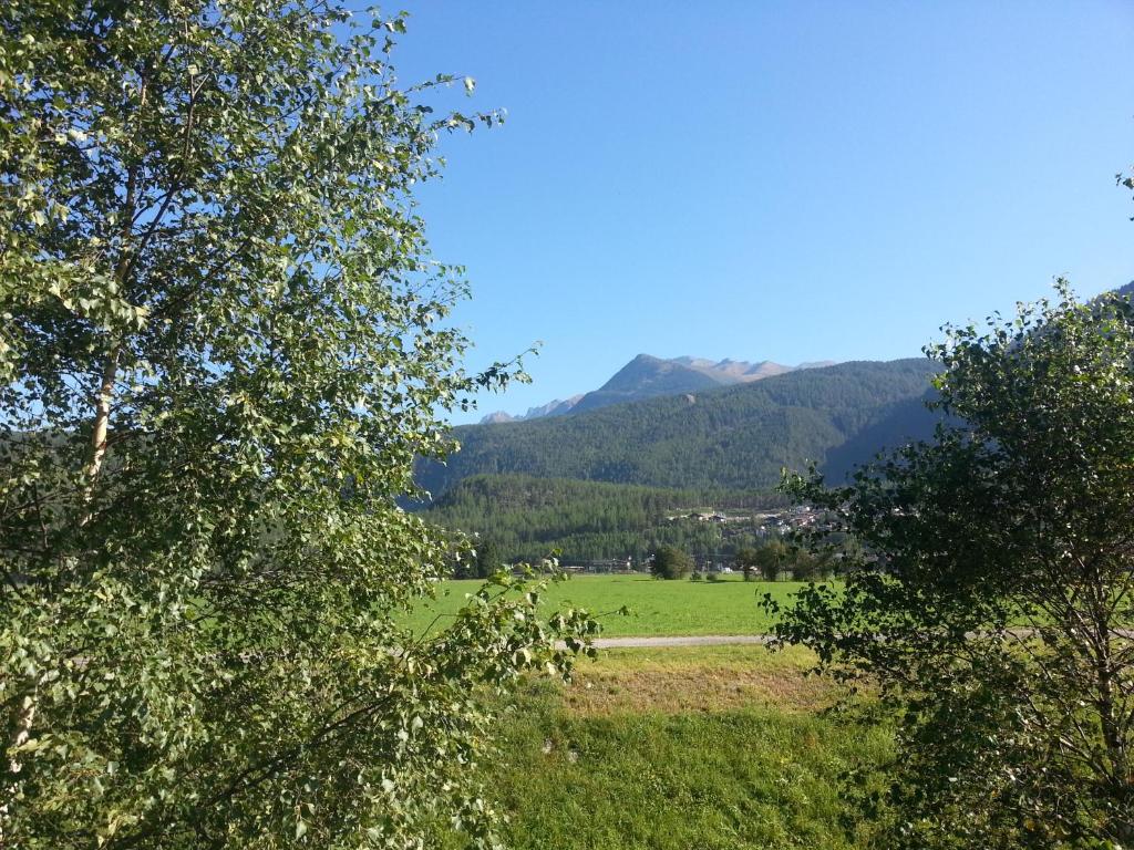 Der kleine Stadl - 3