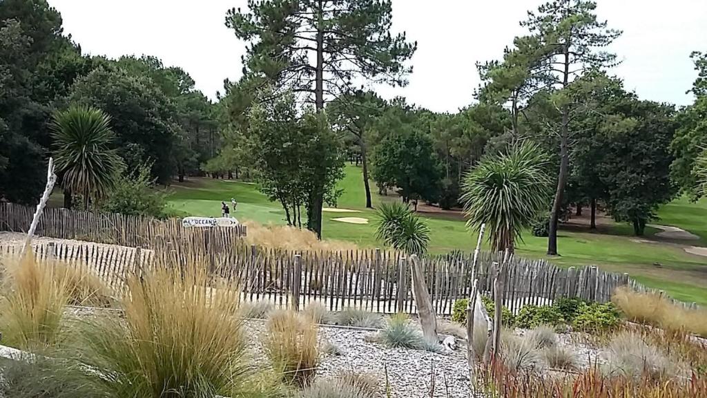 Au calme entre le golf et l'océan - 5