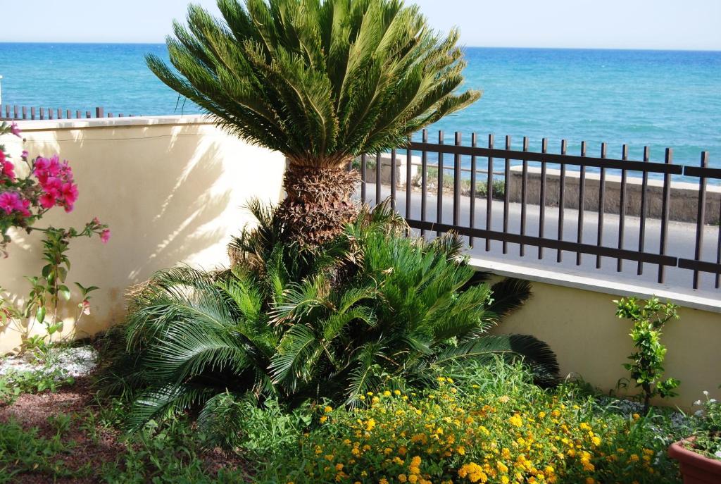 Terrazza a mare Corallo - 5