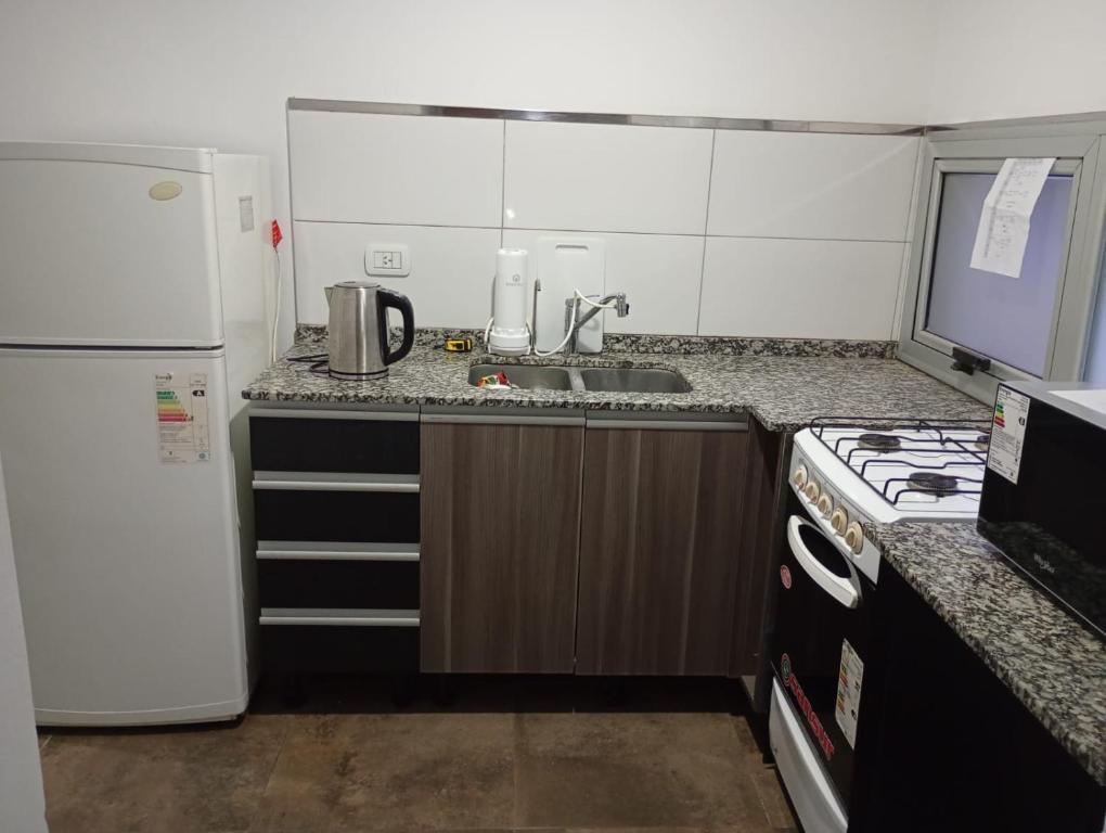 Monoambiente Lau - 4