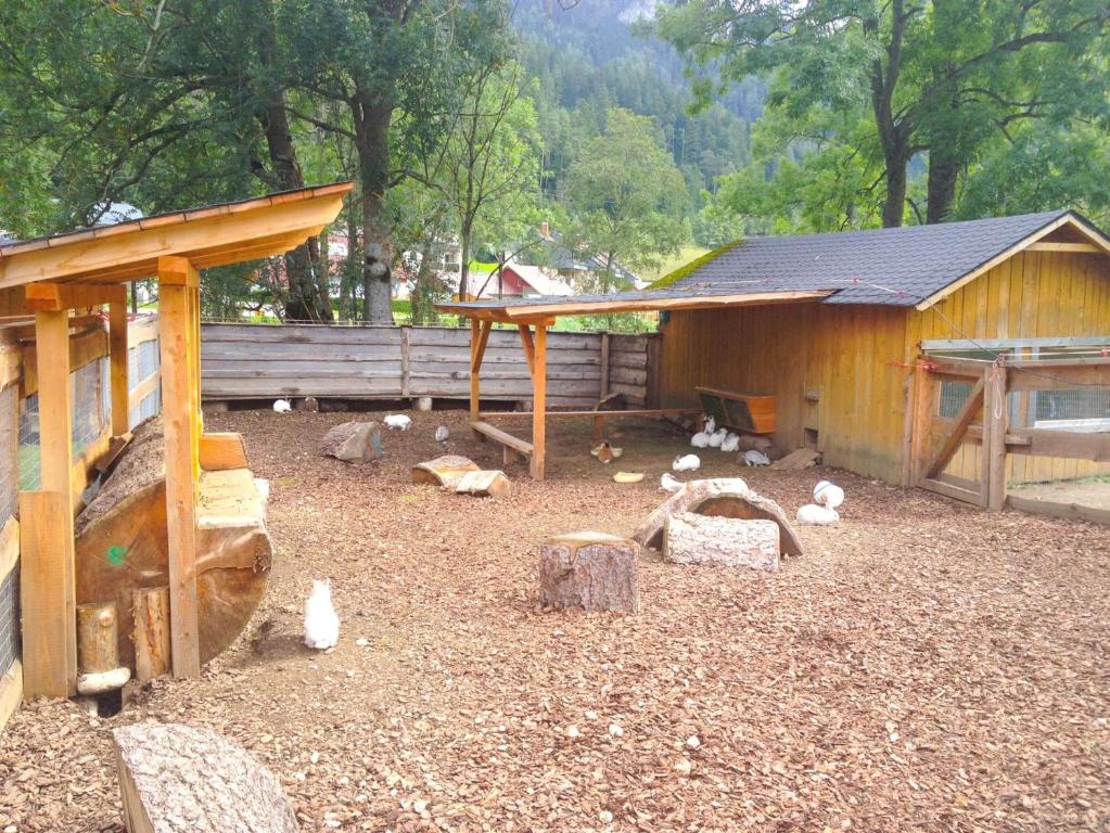 Kinderhotel Appelhof photo