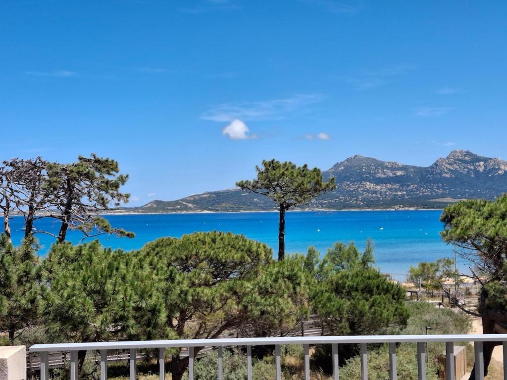 Appartement T3 à 50 mètres de la plage, vue exceptionnelle - 4