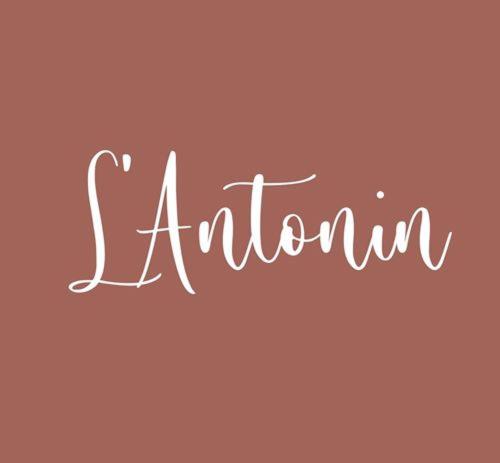 CHAMBRES D'HOTES L'ANTONIN - 3