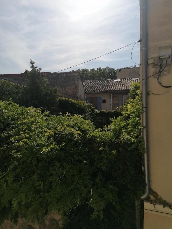 coquette maison avec cour intra muros - 5