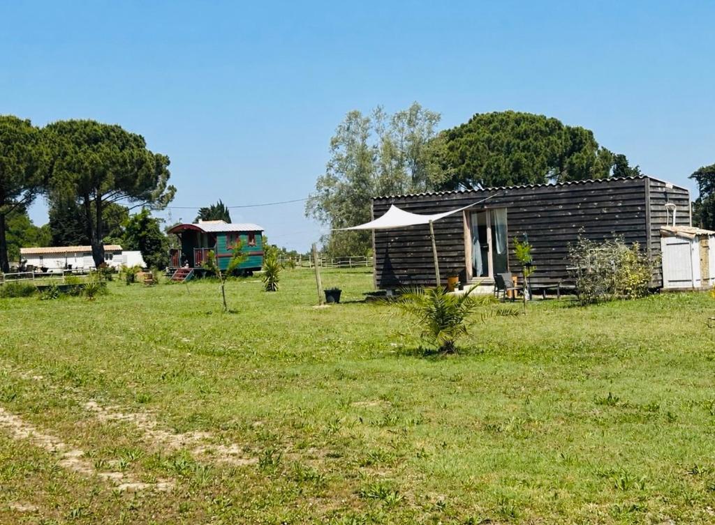 Tiny House Les brises du Sud - 2
