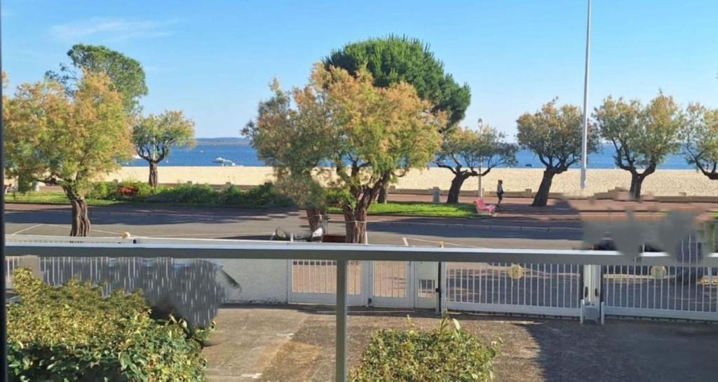 Studio vue sur mer 1ère ligne - 2