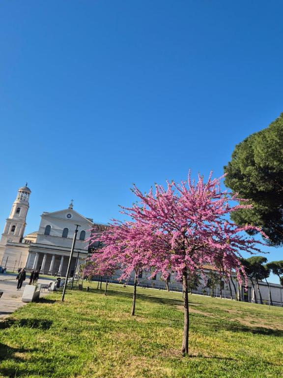 Lorehouserome - 2