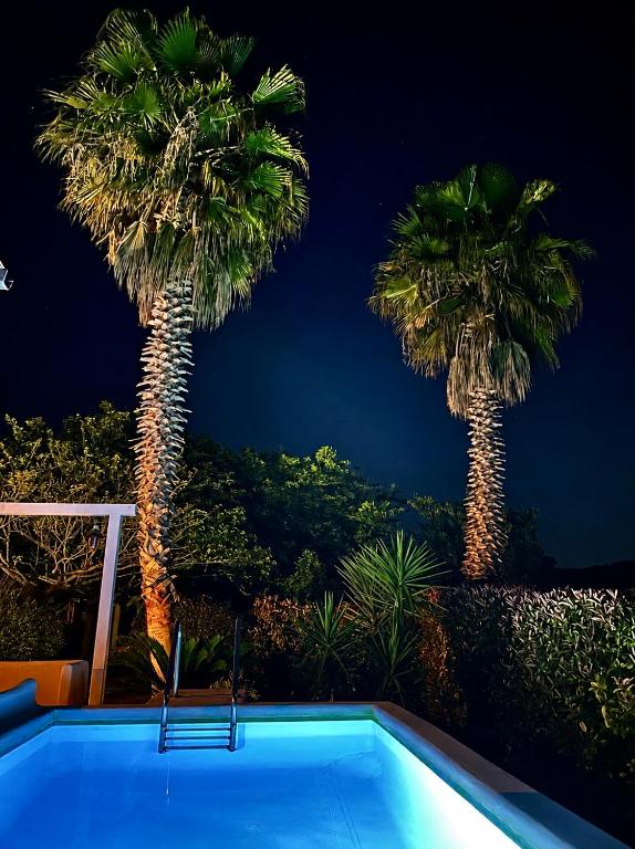 Villa Only Adults 2 Pax · Piscina Privada · A/C · WIFI · BBQ - 3