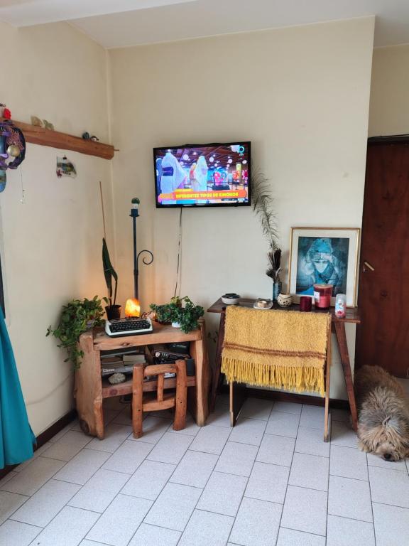 Habitación compartida en casa de familia - 5