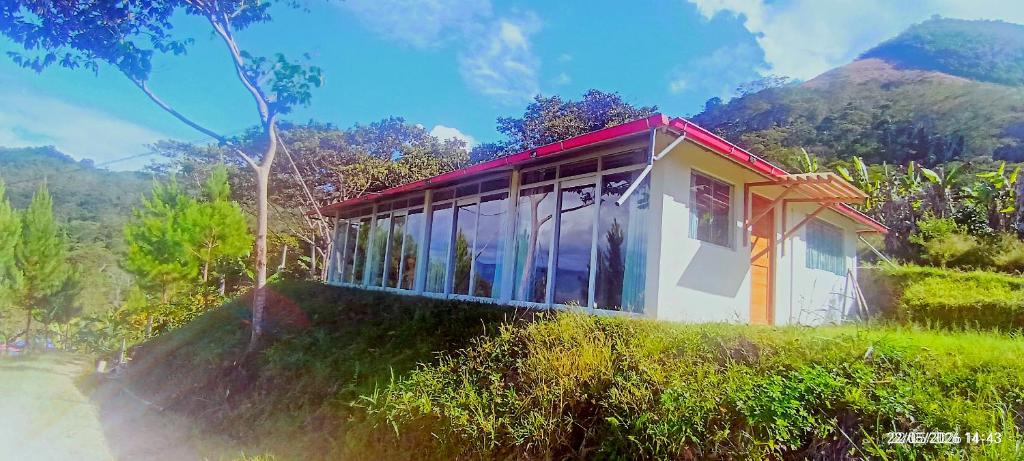 Chalet en la selva - 2