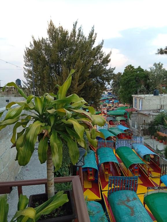Cómodo departamento en Xochimilco - 5