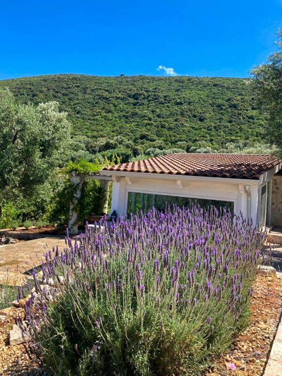 Trullo With Pool In The Hills Near Monopoli - 5