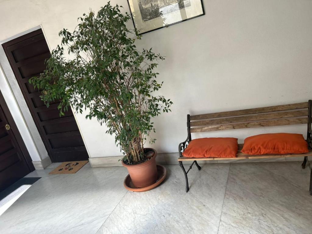 Titina LOFT - 5