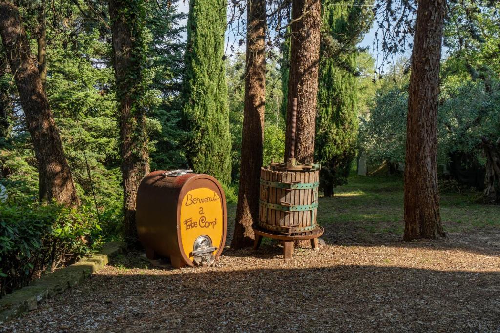 Arezzo - Il Rifugio nel Bosco - 1