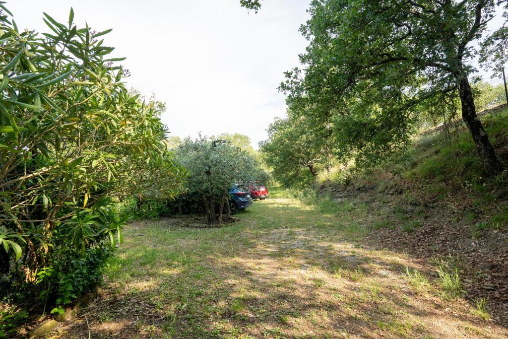 Arezzo - Il Rifugio nel Bosco - 5