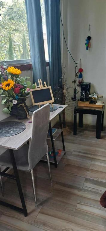 Glamping sin salir de la CDMX - 5