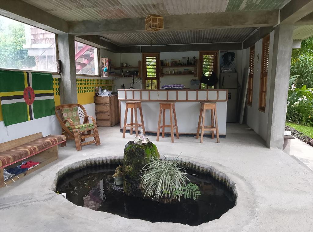 Ảnh 3
