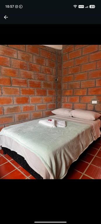 Eco Hotel Los cedros - 3