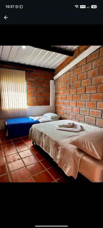 Eco Hotel Los cedros - 4